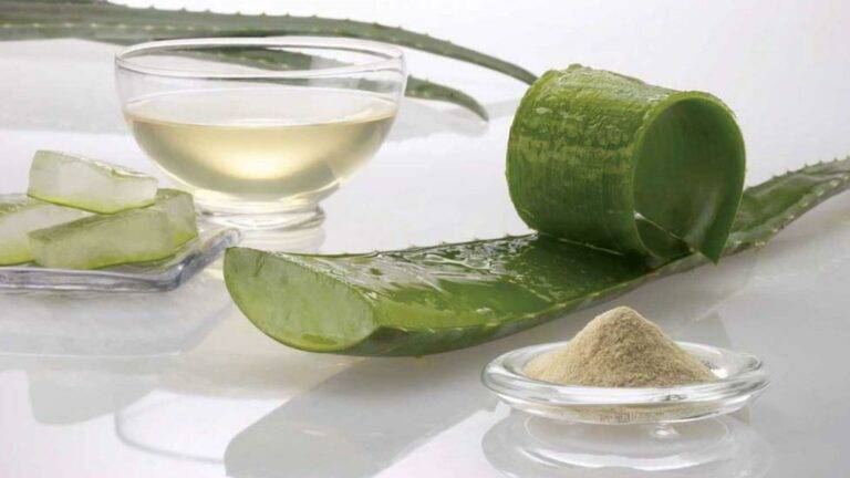 Gel de Aloe Vera Para Rosto, Cabelo e Corpo