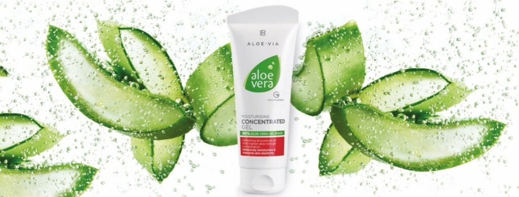 Aloe Vera żelowy koncentrat pomaga na poparzoną lub zapaloną skórę. żel aloesowy na twarz włosy i ciało